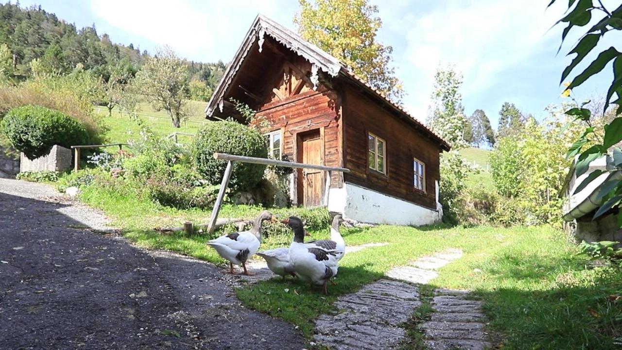 Apartament Haus Holler Wallgau Zewnętrze zdjęcie